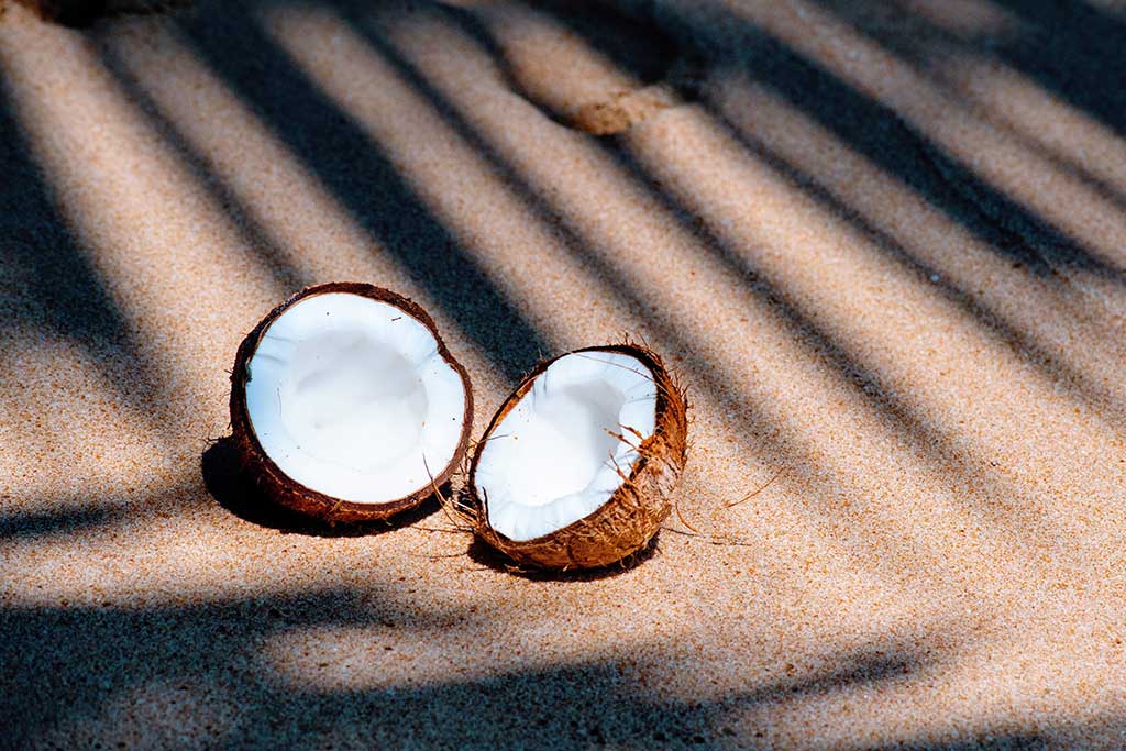 Coconut-Based Ingredients: Magic & Myths