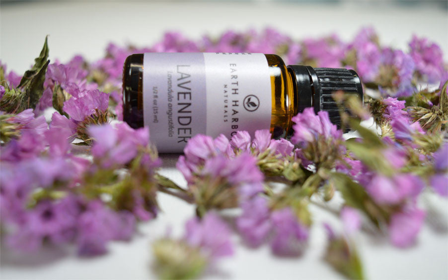 14 Ways Lavender Oil Supports Overall Health