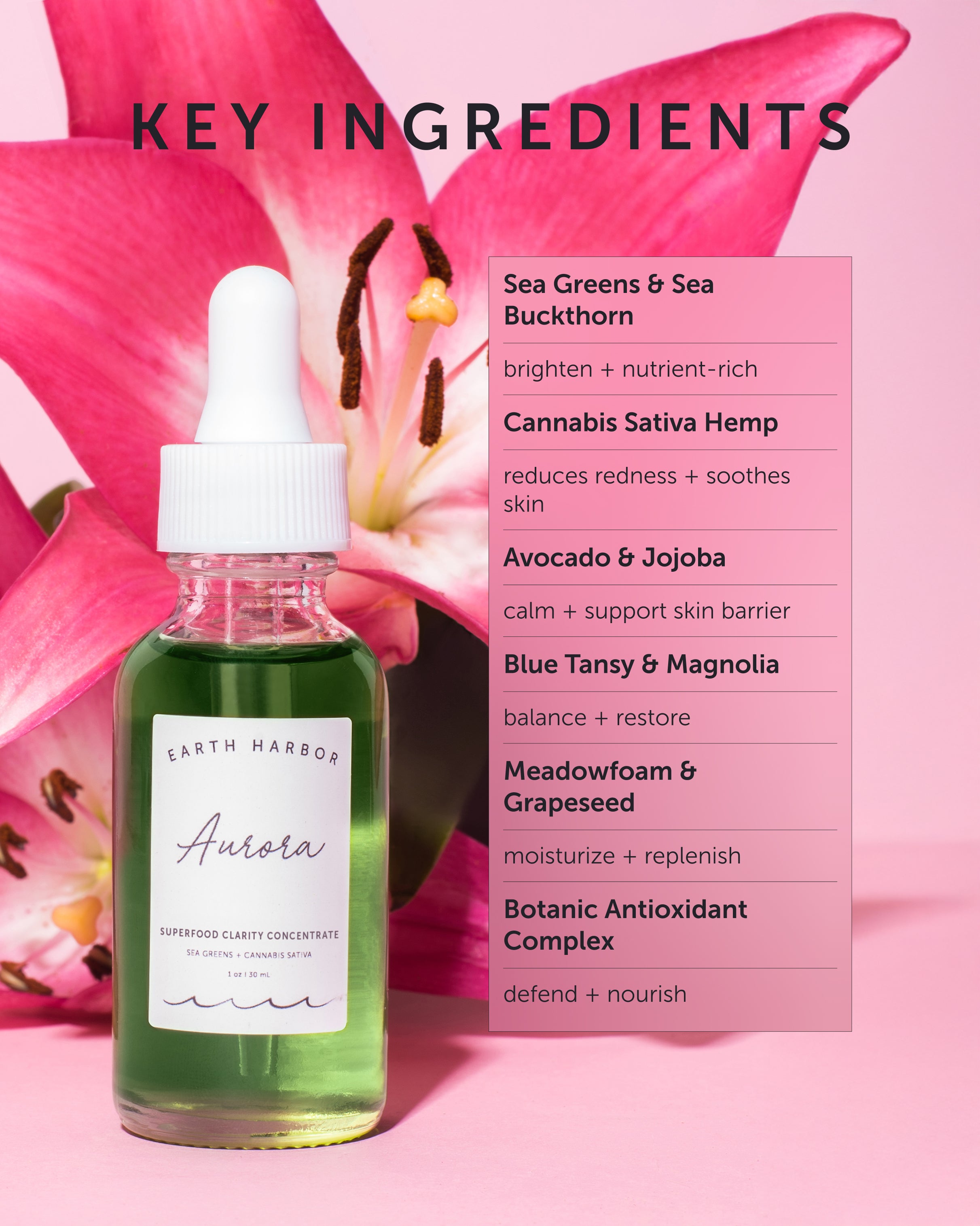 AURORA Superfood Clarity Ampoule – Earth Harbor Naturals