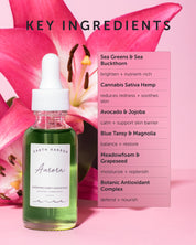 AURORA Superfood Clarity Concentrate - Refill - Earth Harbor Naturals