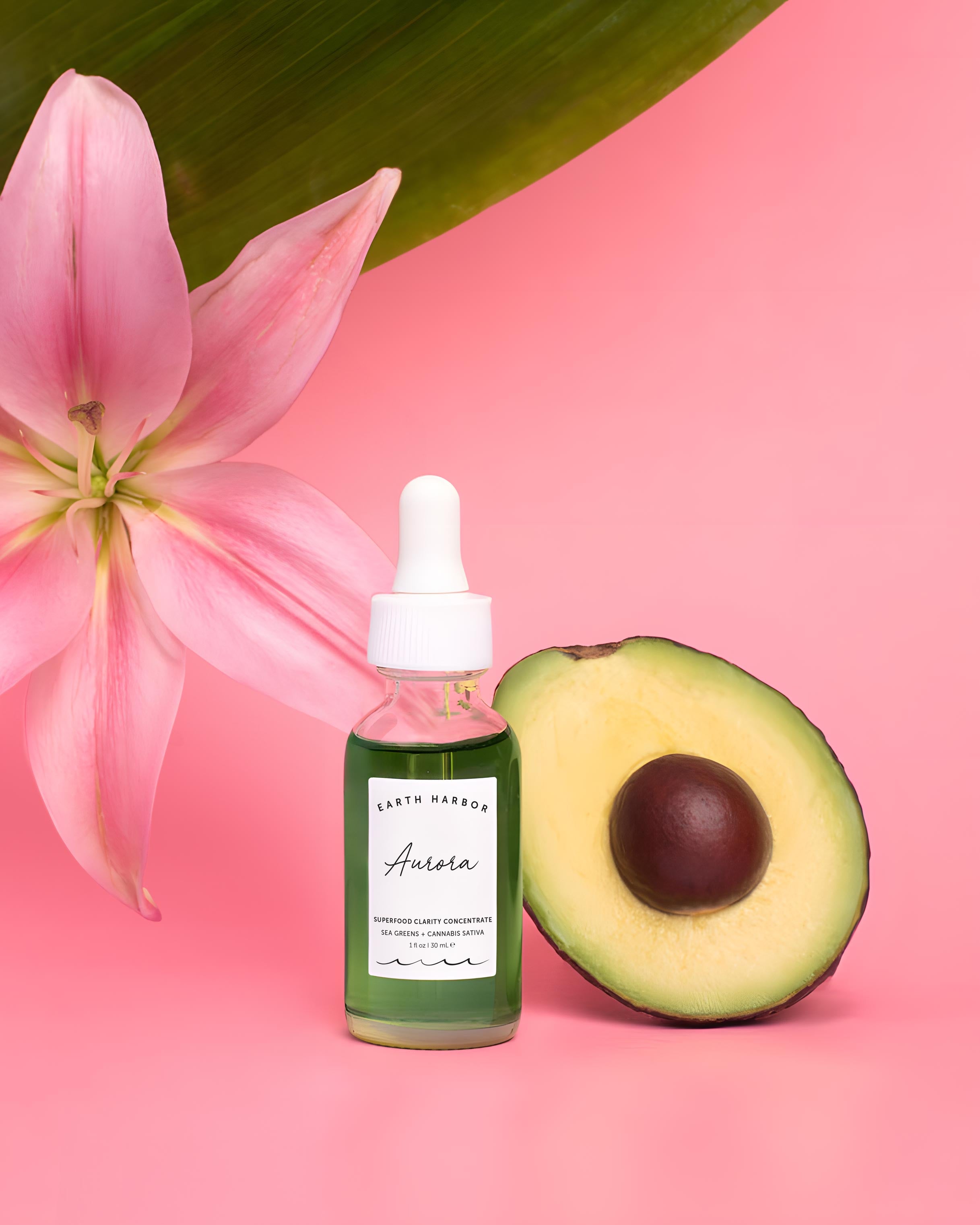 AURORA Superfood Clarity Concentrate - Earth Harbor Naturals