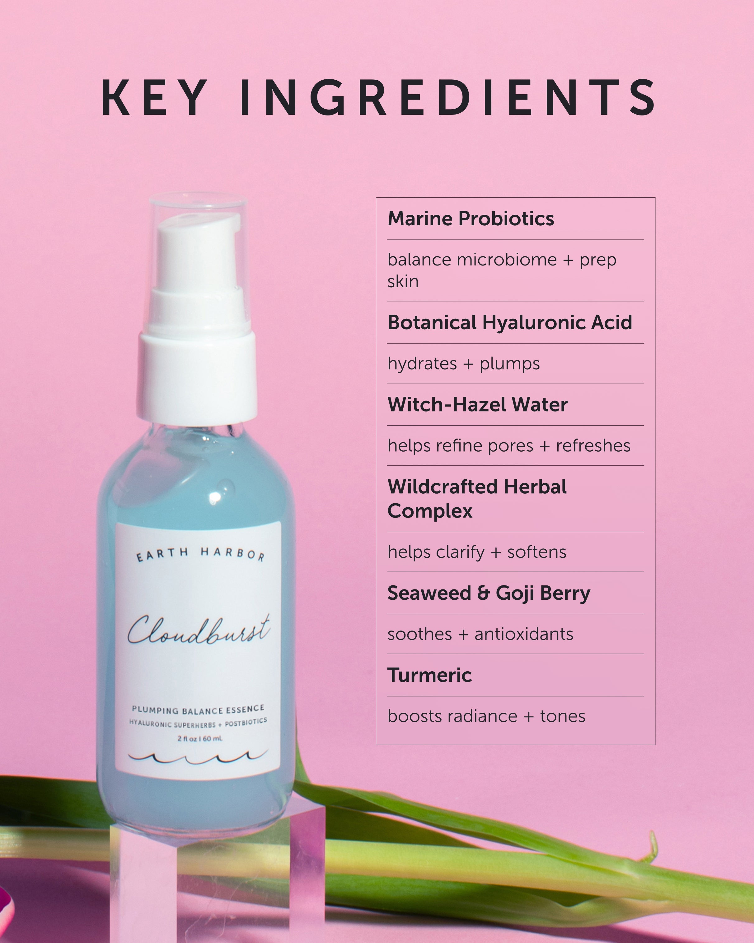 CLOUDBURST Plumping Balance Essence – Earth Harbor Naturals