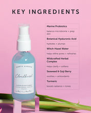 CLOUDBURST Plumping Balance Essence - Earth Harbor Naturals