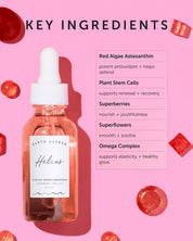 HELIOS Stem Cell Defense Concentrate - Refill - Earth Harbor Naturals