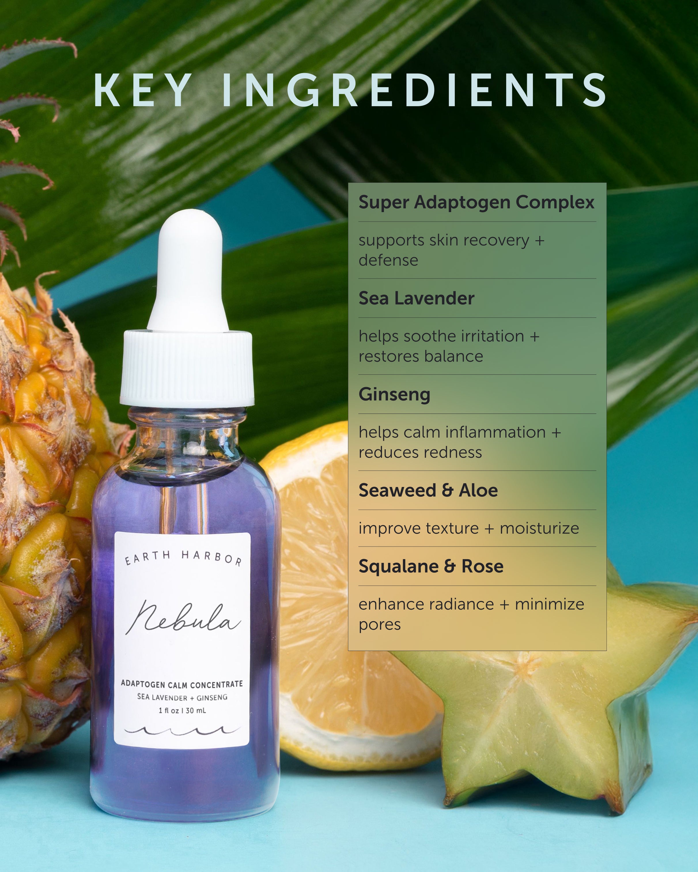 NEBULA Adaptogen Calm Concentrate - Refill – Earth Harbor Naturals
