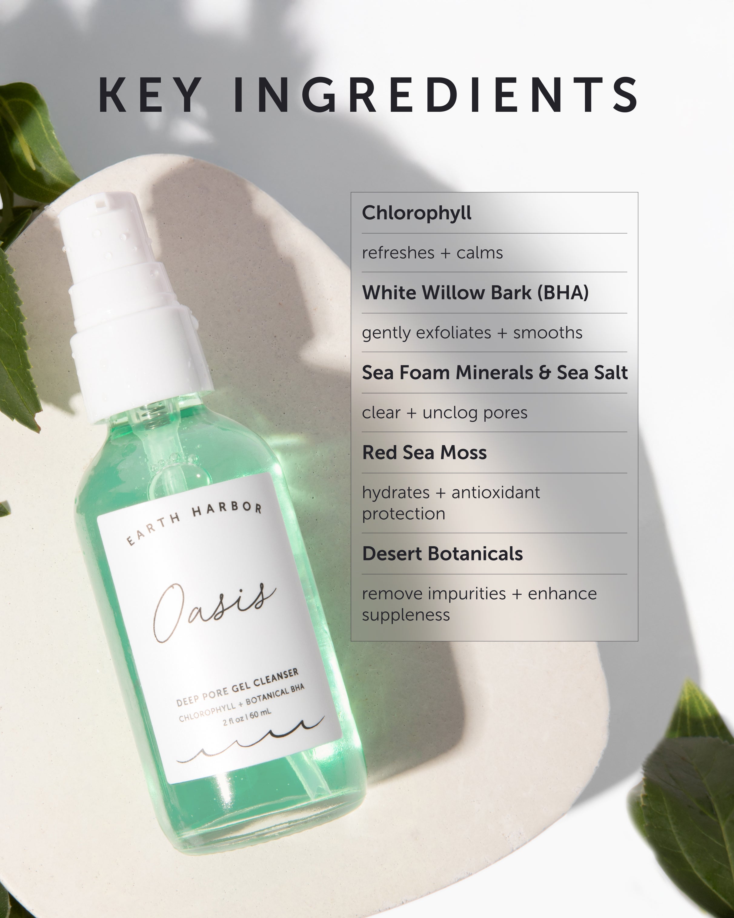 OASIS Deep Pore Gel Cleanser – Earth Harbor Naturals