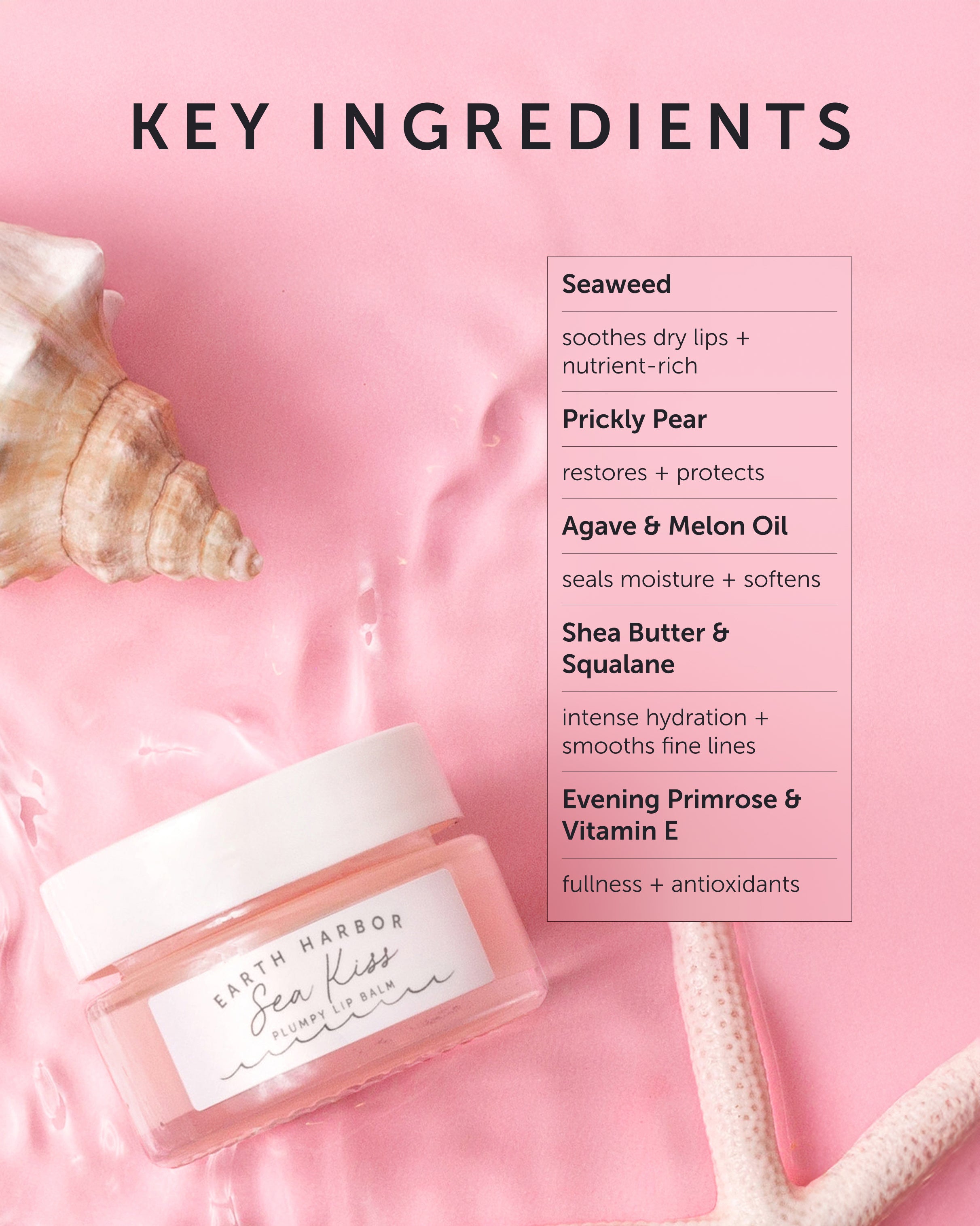 SEA KISS Plumpy Lip Balm - Refill - Earth Harbor Naturals