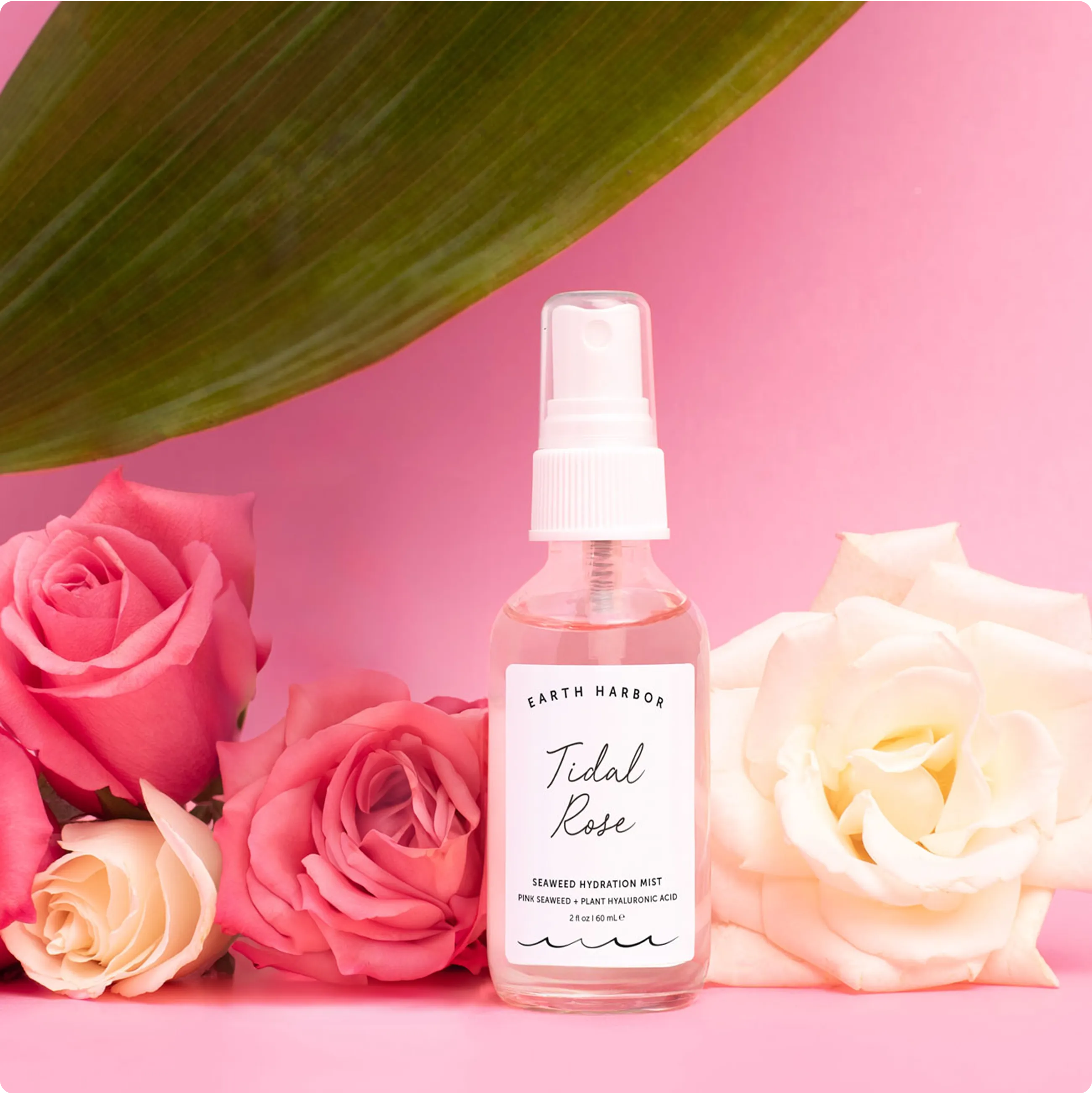 TidalRose-ingredients-image.webp